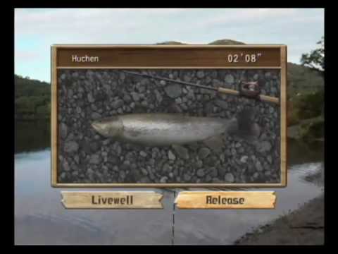 reel fishing challenge 2 wii cheats