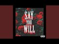 Say You Will