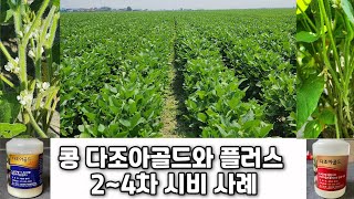 콩 다조아골드와 플러스 2~4차 시비 : " 3백평 6백키로 생산 도전해 보시죠" " 마디 절간이 짧고, 분…