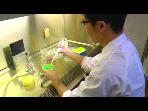 応用生物科学部 食品安全健康学科