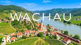Wachau 4K 🇦🇹 Danube Valley, Dürnstein, Melk Abbey & Austrian Vineyards
