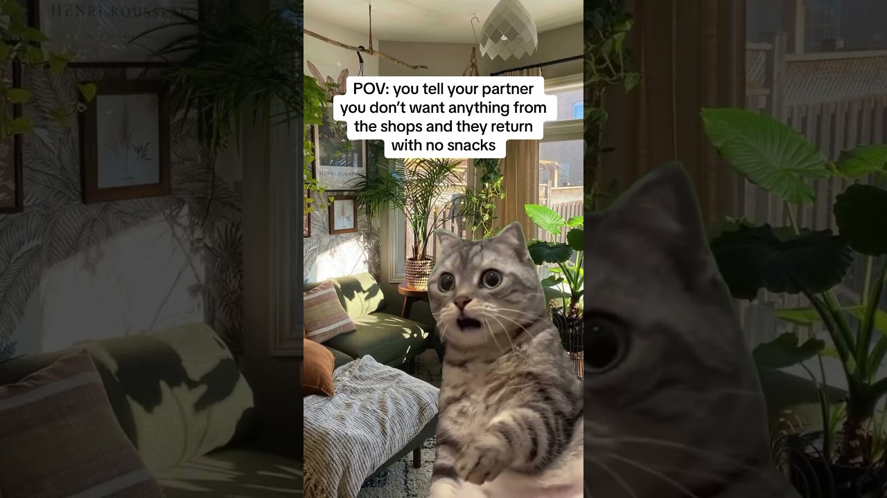 The audacity... 👀 Tag someone who can relate to this below 👇