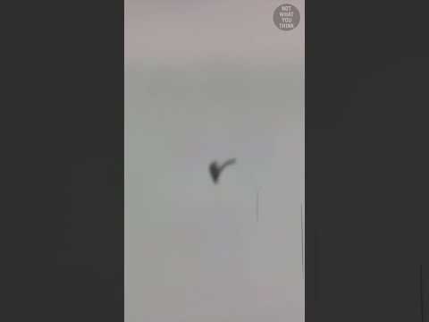 No Ejection Seat on the F-111?