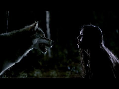 TVD 3x2 - Damon distracts the wolf to save Elena, Stefan tells Damon to keep her away from him | HD