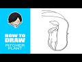 The Best 9 Pitcher Plant Drawing Simple