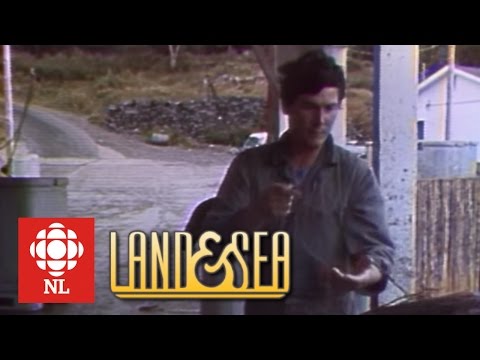 Land & Sea: The cod collapse in Newfoundland