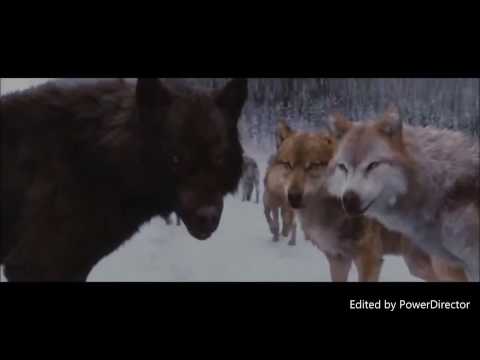 Twilight Wolves - Turn Your Face Towards The Sun