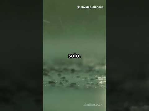 O Segredo do Cheiro da Chuva Revelado!