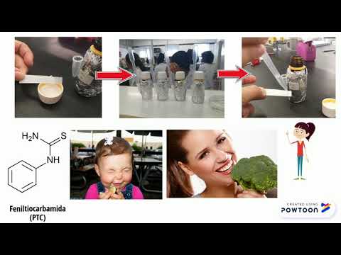 Sensibilidade ao Amargor - Utilizando PTC