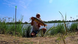 Рыбалка на сазанам в астрахань
