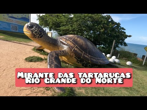 Percorremos o litoral da praia de Pirangi até a praia de Tabatinga ...