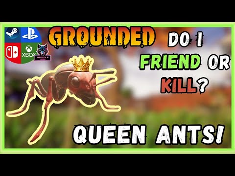 Grounded: Ant Queen Guide, Should You Friend Or Kill?