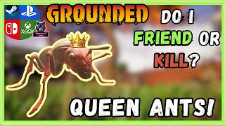Grounded: Ant Queen Guide, Should You Friend Or Kill
