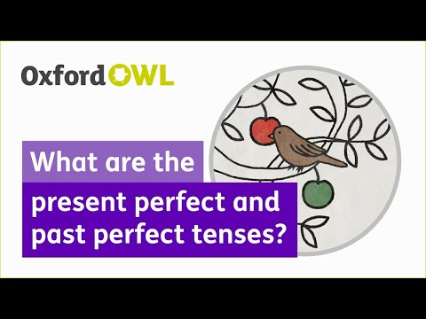 What are the present perfect and past perfect tenses? | Oxford Owl