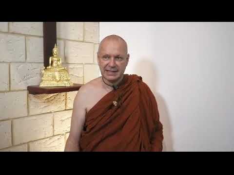 Ajahn Brahmali: Day 2 Afternoon Session Sutta Study and Q&A 17.05.21