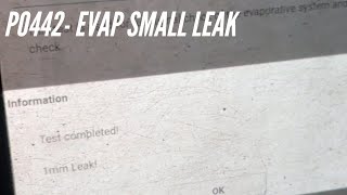 Hyunda Elantra P0442- Evap small leak