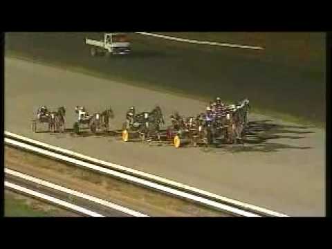 amazing harness race idiot horse