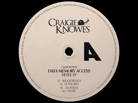 Data Memory Access -- Anthem