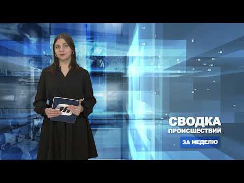 Сводка происшествий / 13.02.2023