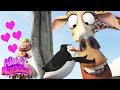 Madly Madagascar 2 ️Madagascar Valentines Day Special ️Madagascar DVD ️Kids Movies