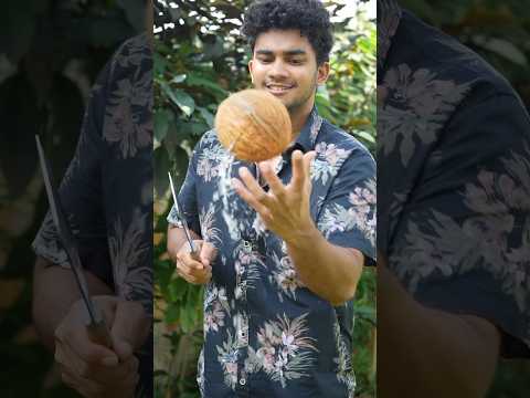 Easy Coconut Ice Cream