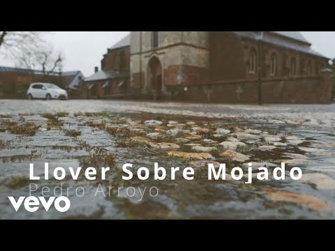Pedro Arroyo - Llover Sobre Mojado (Visualizer)