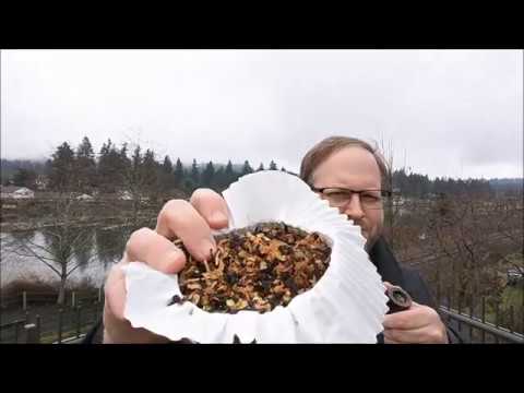 Peterson's St. Patrick's Day 2018