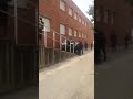 Los Mossos Amorosos IV