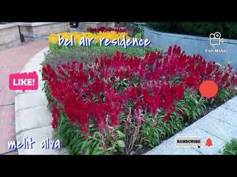 Walking @ bel air to cyber port bus terminal