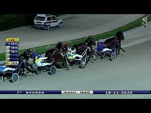 Aversa trotto 18 Novembre 2020 - 7° Corsa