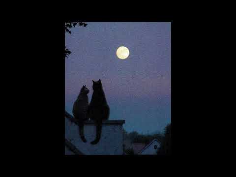 [FREE] Cold Nights ❄️ | Melancholic YNW Melly Type Beat 2025