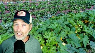 Smash Your Summer Squash + Preventing Erosion While Starting a Garden