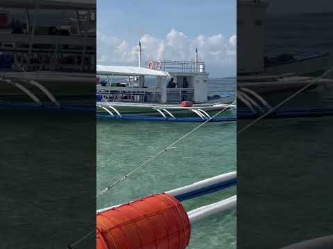 Summer feels #beach #manjuyodsandbar #youtube  #youtubeshorts