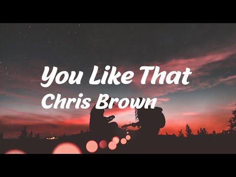 Chris Brown  - You Like That (Lyric)