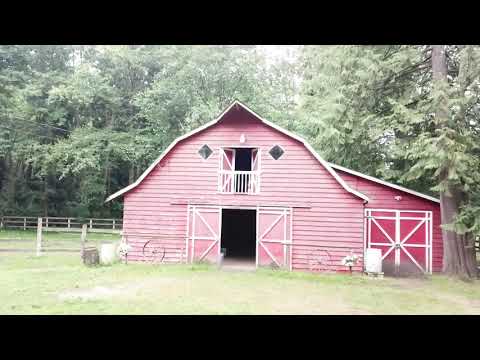 Real estate video tour of 27810-110 Ave, Maple Ridge