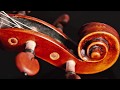 Hamari Adhuri Kahani violin cover- Apratim Nayek