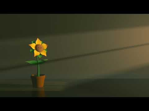 Follow The Light (Animation)