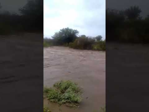 Hubo una gran creciente en la zona de Huerta de Huachi en Jáchal