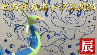 【祝】初めてのピカピカボックス2024開封