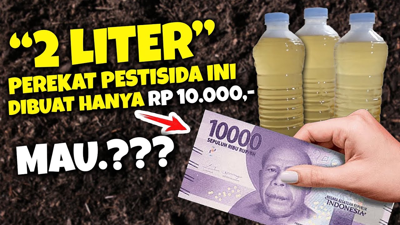 Putar video BIKIN SENDIRI 2 LITER PEREKAT PESTISIDA CUMA RP 10.000 SAJA. MAU. sekarang BIKIN SENDIRI 2 LITER PEREKAT PESTISIDA CUMA RP 10.000 SAJA. MAU.