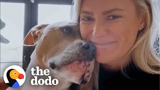 This Pittie Knows Exactly When Her Mom Needs A Hug | The Dodo by The Dodo