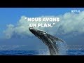 Jour De La Terre : Le Narrateur De "Notre Planète" Sur Netflix A Un Message D'espoir