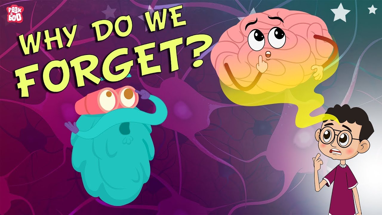 Why Do We Forget? | The Dr. Binocs Show | Best Learning Videos For Kids | Peekaboo Kidz