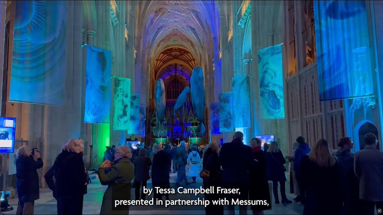 Tessa Campbell Fraser FRSS: Whales at Winchester Cathedral