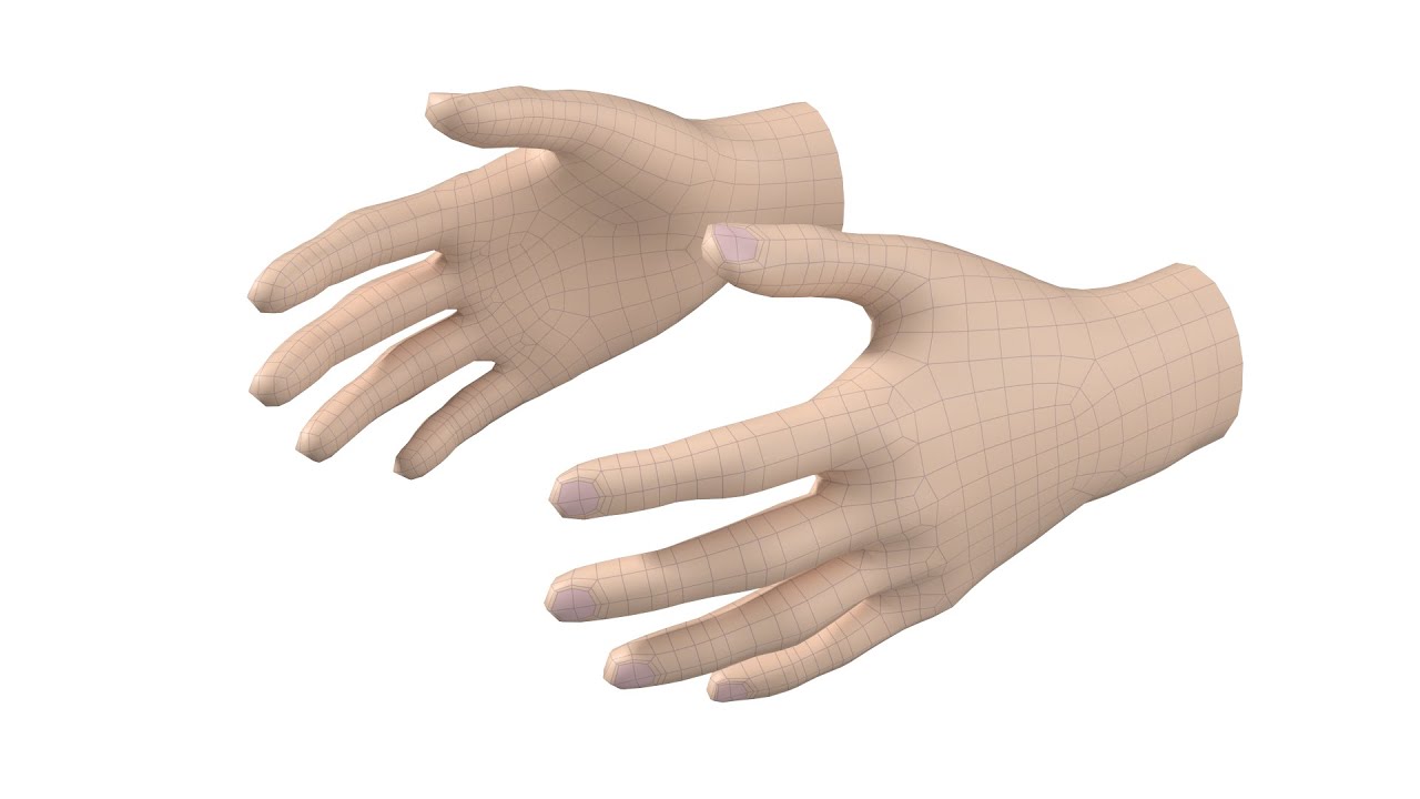 Female Hand Base Mesh 03 3D Model