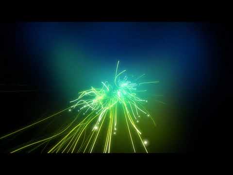 Neizvesten YA PLACHU