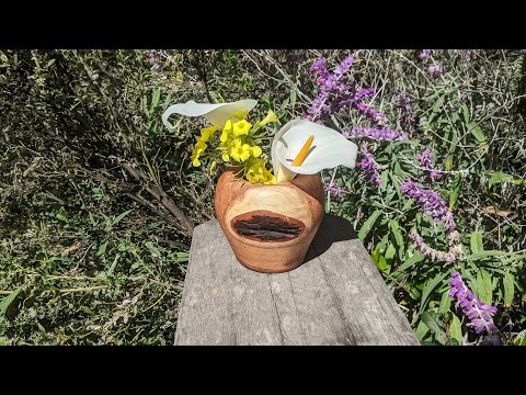 286 The Transorbital Vase