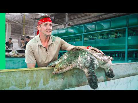 Inside Vietnam’s Exclusive Exotic Animal Restaurants!!