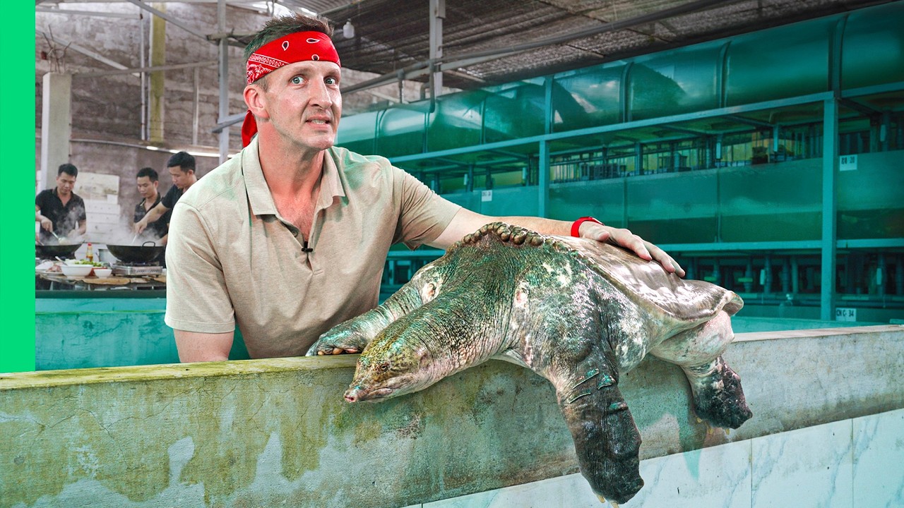 Inside Vietnam’s Exclusive Exotic Animal Restaurants!!