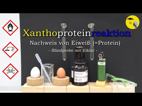 Xanthoproteinreaktion - Nachweis von Eiweiß (Blindprobe)